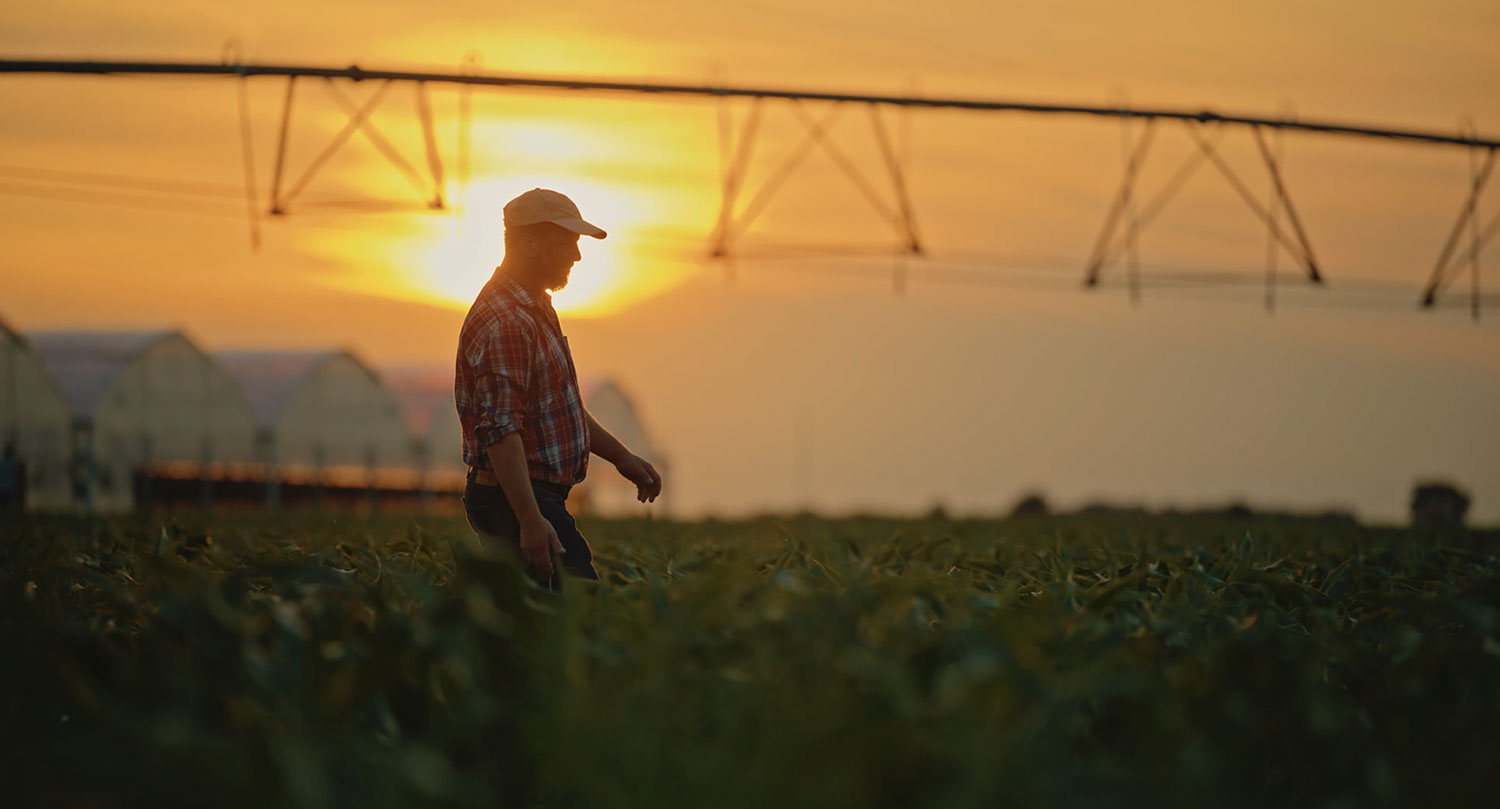 farmer